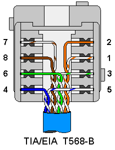 Terminating Wall Plates / Wiring cat 5 wiring diagram wall 